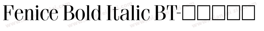 Fenice Bold Italic BT字体转换